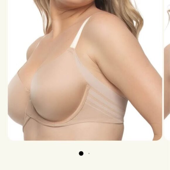 Felina Paramour 40C Bra - Picture 1 of 6